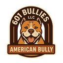 601 Bullies LLC Logo